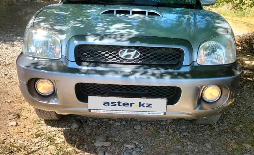 Hyundai Santa Fe 2003 года за 3 200 000 тг. в Шымкент фото 1