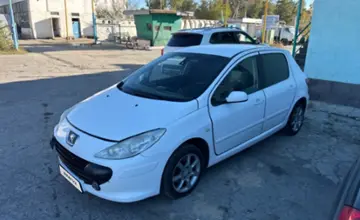 Peugeot 307 2006 года за 2 400 000 тг. в Талдыкорган фото 1