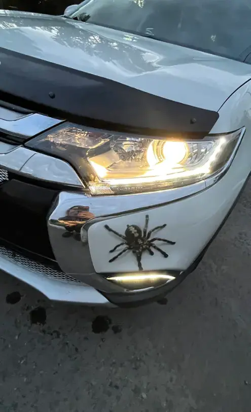 Mitsubishi Outlander 2015 года за 9 700 000 тг. в Павлодар фото 2