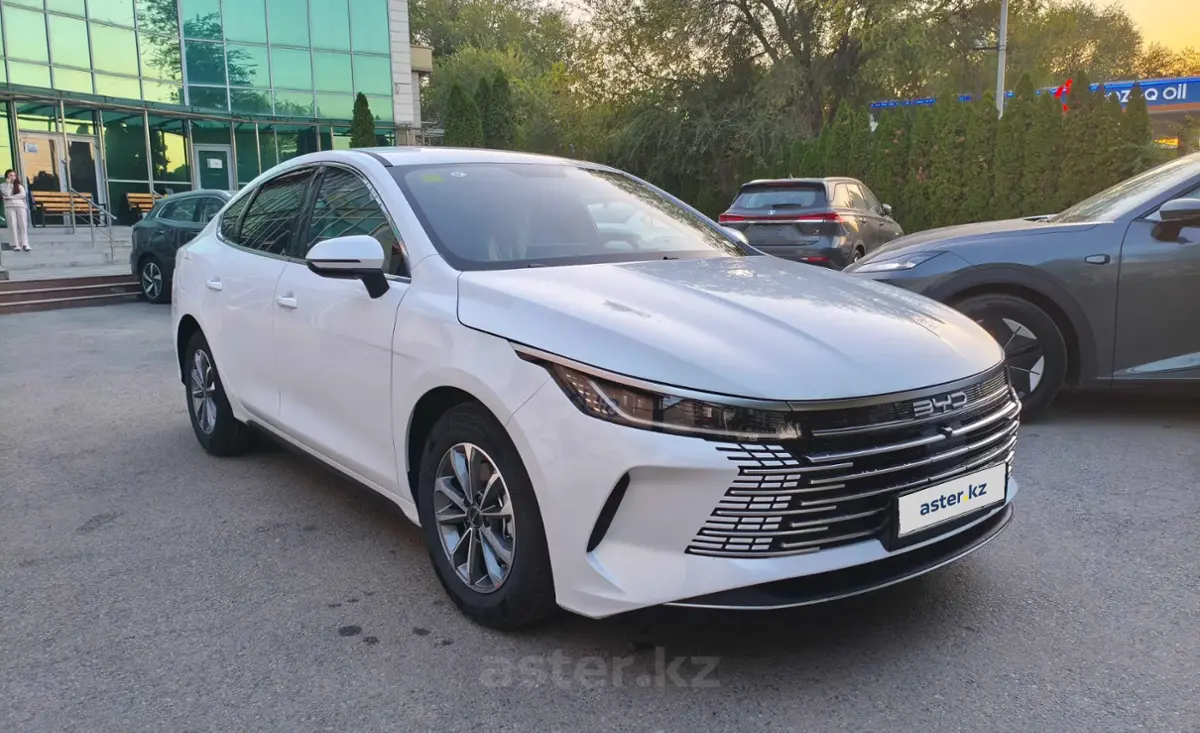 2025 BYD Destroyer 05