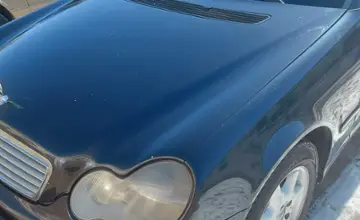 Mercedes-Benz C-Класс 2003 года за 3 800 000 тг. в Алматинская область фото 2