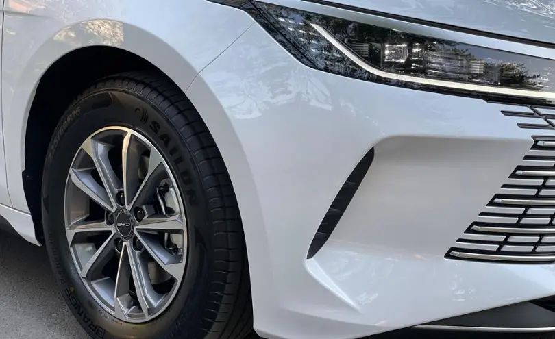 BYD Destroyer 05 2025 года за 8 400 000 тг. в Алматы фото 3