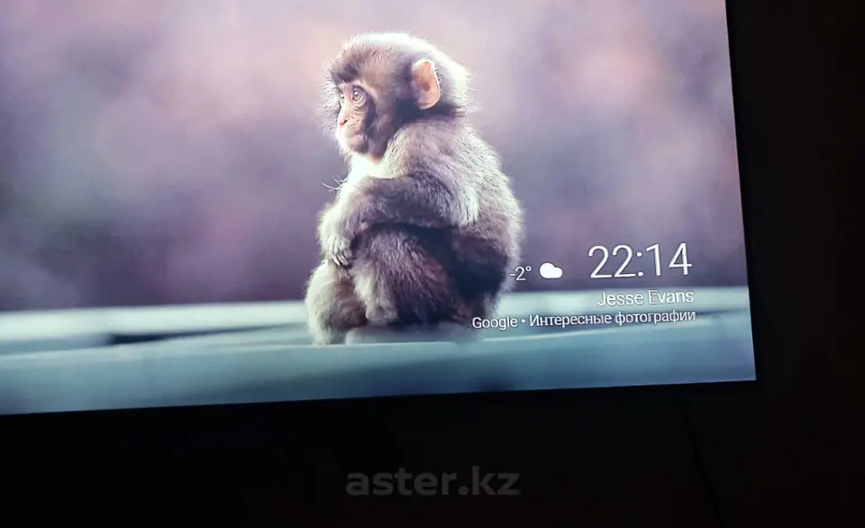 Пользователь aster.kz