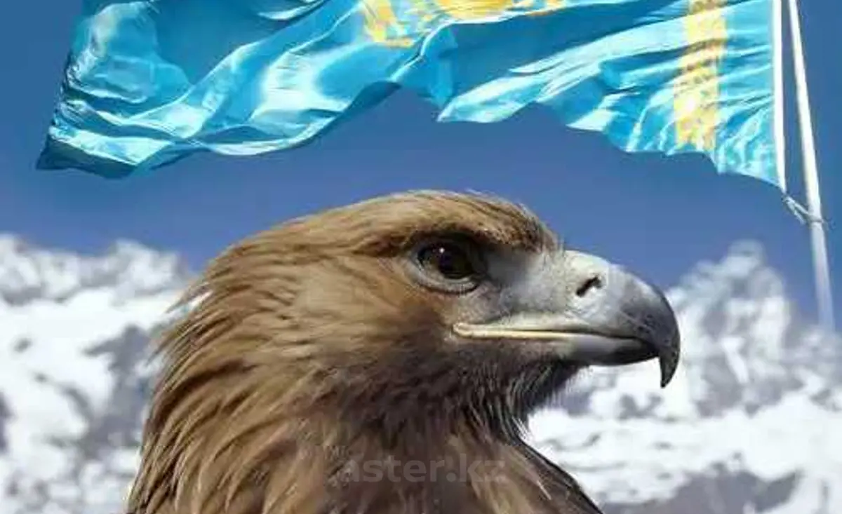 Пользователь aster.kz