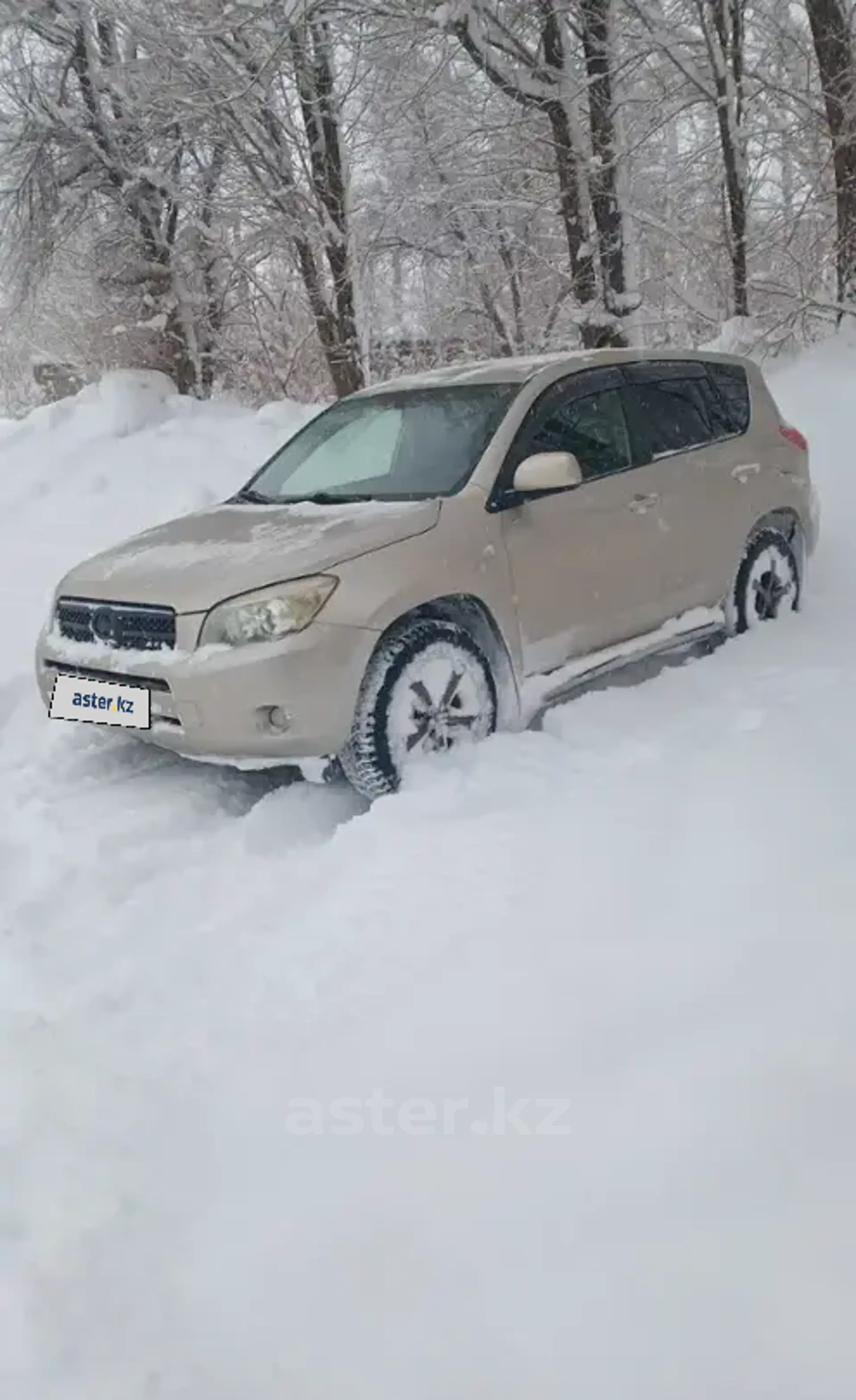 Toyota RAV4 2008