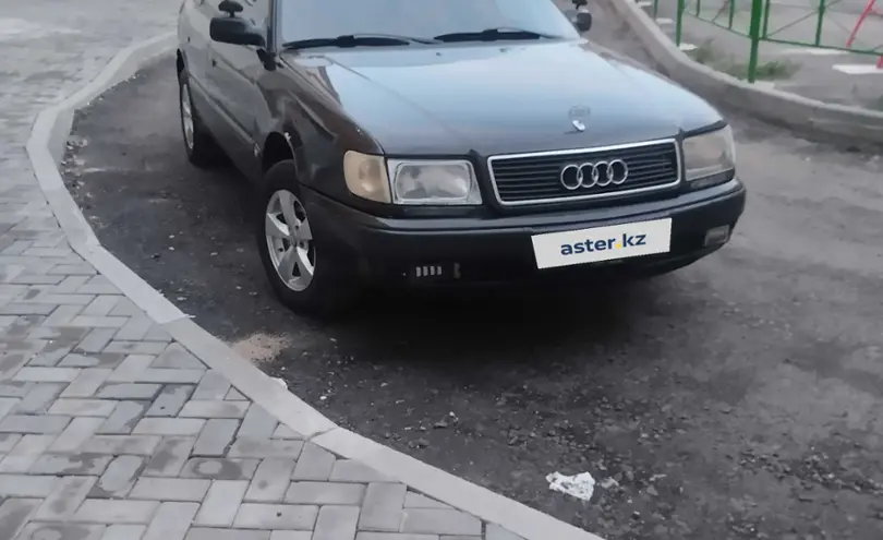 Audi 100 1992 года за 1 800 000 тг. в Петропавловск