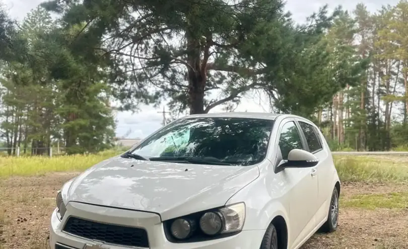 Chevrolet Aveo 2014 года за 3 000 000 тг. в Костанай