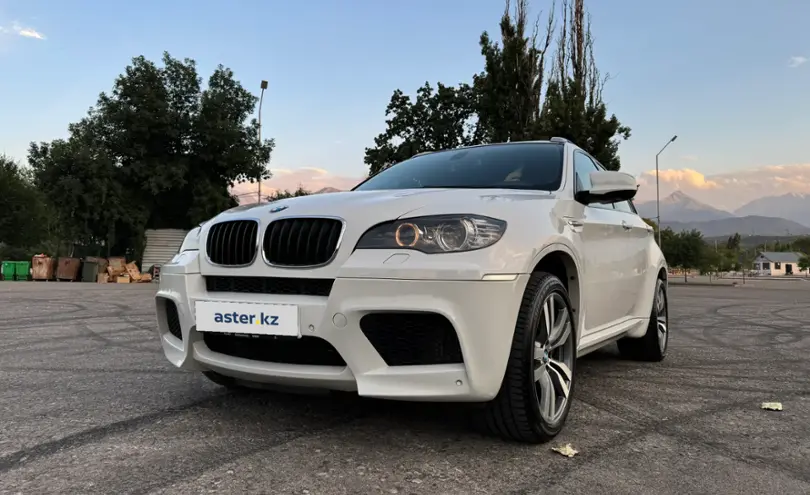 BMW X6 M 2010 года за 14 600 000 тг. в Алматы