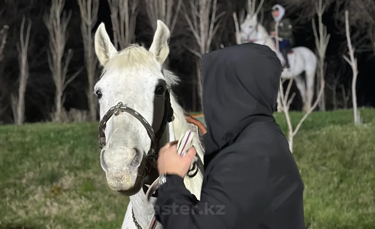 Пользователь aster.kz