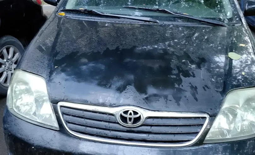 Toyota Corolla 2006 года за 2 700 000 тг. в Алматы