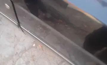 ГАЗ 3110 «Волга» 1998 года за 600 000 тг. в Усть-Каменогорск