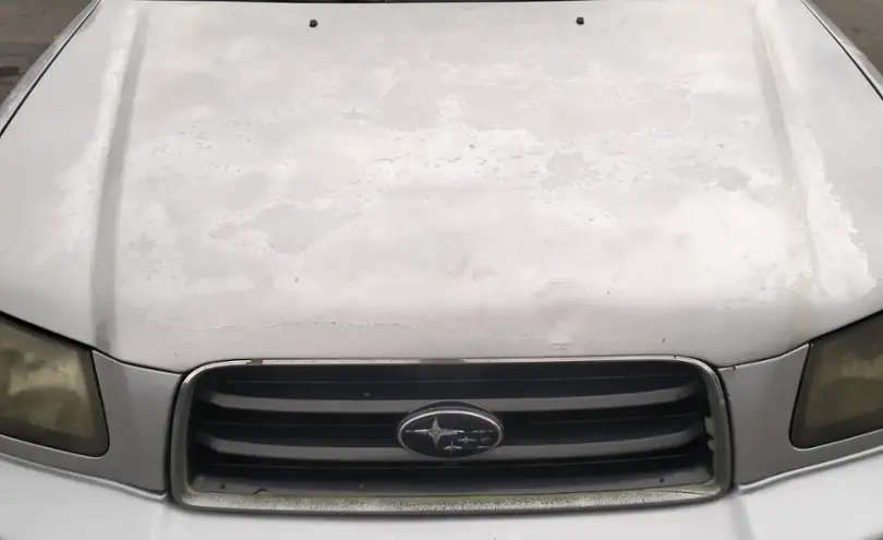 Subaru Forester 2004 года за 4 200 000 тг. в Алматы фото 2
