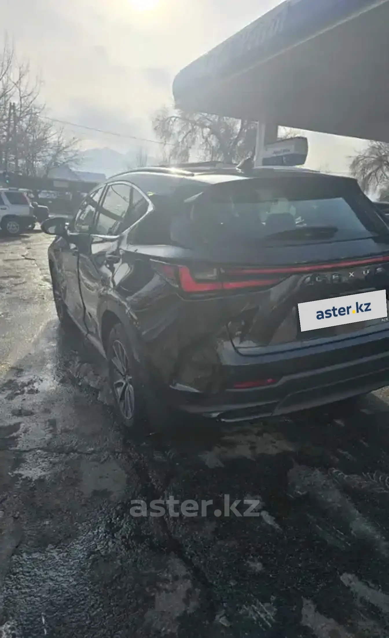 Lexus NX 2024 года за 29 900 000 тг. в Восточно-Казахстанская область