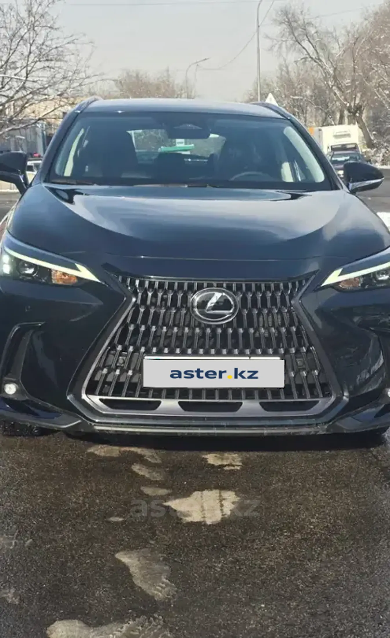 Lexus NX 2024 года за 29 900 000 тг. в Восточно-Казахстанская область фото 1