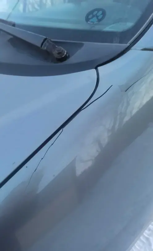 Renault Scenic 1999 года за 1 800 000 тг. в Караганда фото 4