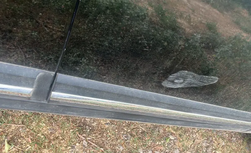 JAC S5 (Eagle) 2019 года за 7 700 000 тг. в Актюбинская область фото 5