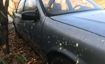 Opel Vectra 1989 года за 300 000 тг. в Туркестанская область фото 4