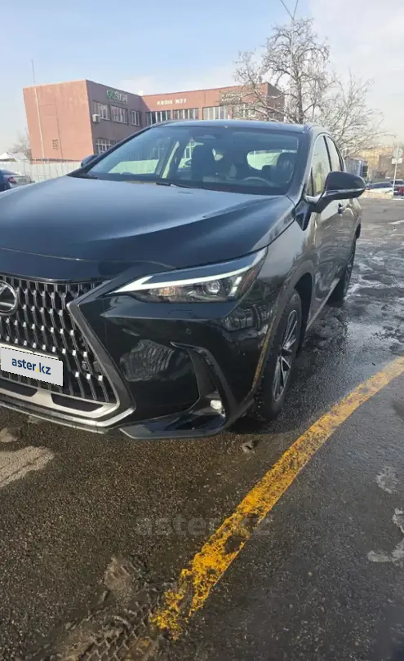 Lexus NX 2024 года за 29 900 000 тг. в Восточно-Казахстанская область фото 2