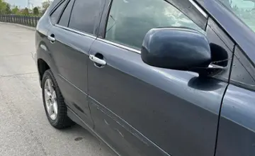 Lexus RX 2004 года за 6 800 000 тг. в Талдыкорган