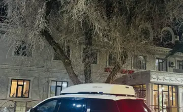 Kia Carnival 2020 года за 15 000 000 тг. в Алматы фото 2