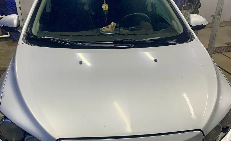 Chevrolet Aveo 2014 года за 3 200 000 тг. в Павлодар