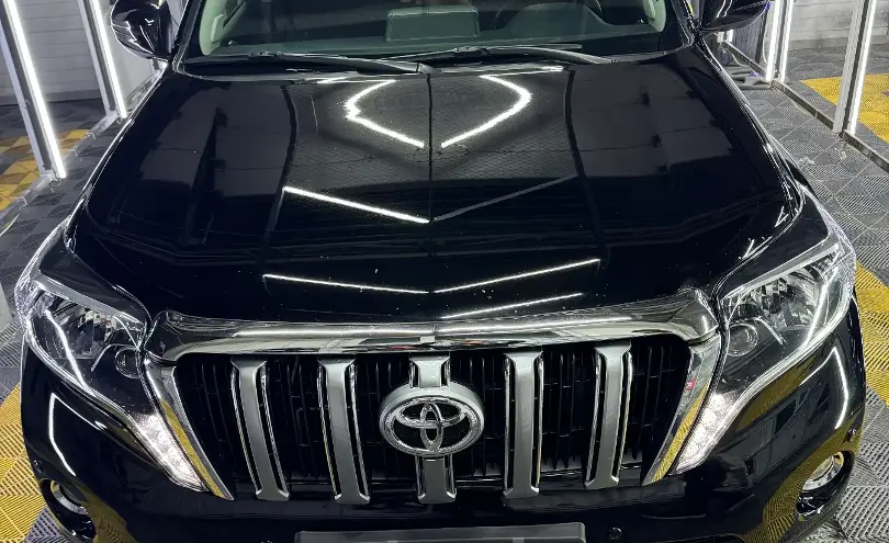 Toyota Land Cruiser Prado 2010 года за 13 500 000 тг. в Алматы фото 1