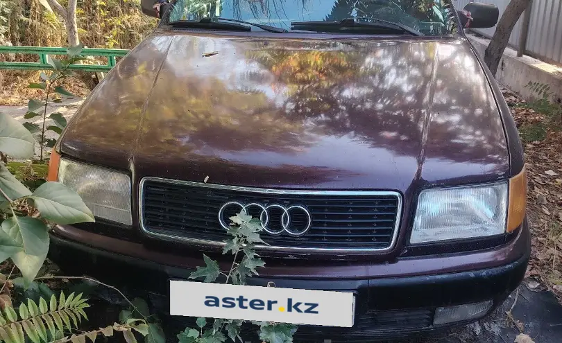 Audi 100 1992 года за 1 400 000 тг. в Талдыкорган фото 1