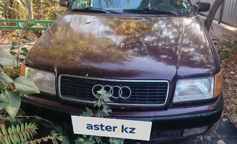 Audi 100 1992 года за 1 400 000 тг. в Талдыкорган фото 1