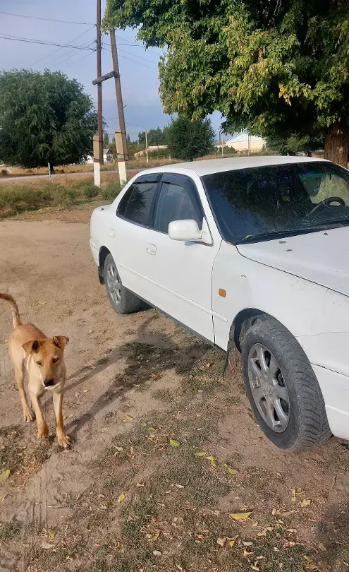 Toyota Camry 1994 года за 1 800 000 тг. в Тараз фото 5