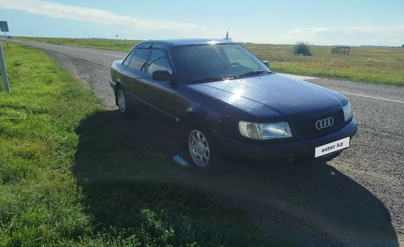 Audi 100 1991 года за 1 800 000 тг. в Павлодарская область фото 1