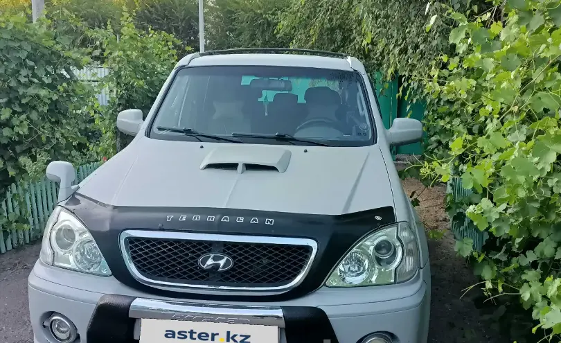 Hyundai Terracan 2004 года за 4 900 000 тг. в Талдыкорган
