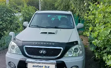 Hyundai Terracan 2004 года за 4 900 000 тг. в Талдыкорган фото 1