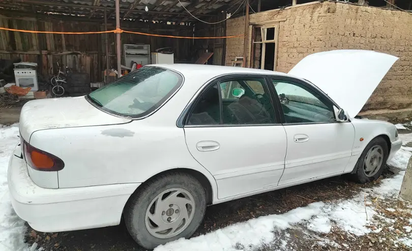 Hyundai Sonata 1994 года за 600 000 тг. в Алматинская область фото 3