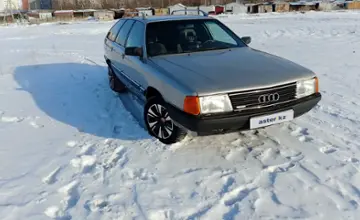 Audi 100 1990 года за 2 300 000 тг. в Северо-Казахстанская область фото 1