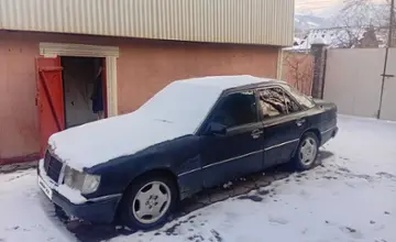 Mercedes-Benz E-Класс 1992 года за 700 000 тг. в Алматинская область фото 1