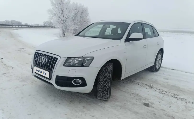 Audi Q5 2011 года за 8 600 000 тг. в Алматы