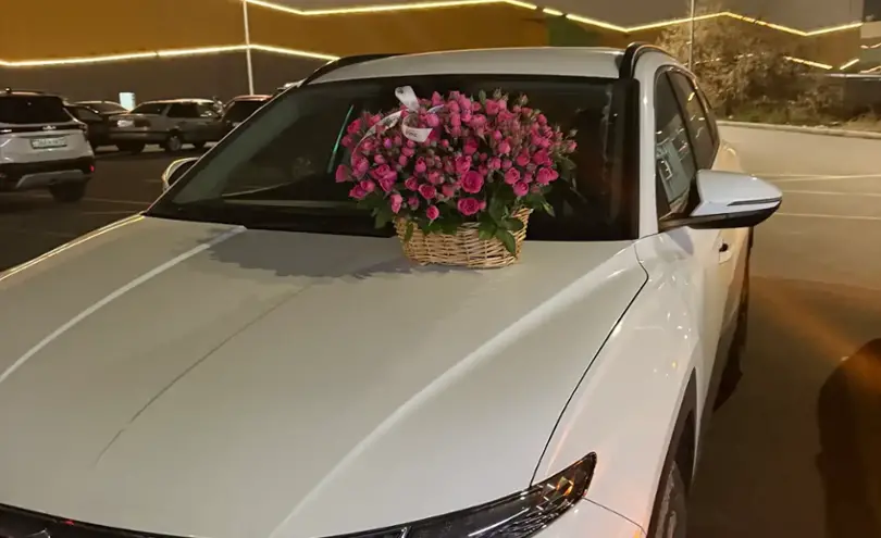 Hyundai Tucson 2024 года за 11 500 000 тг. в Алматы