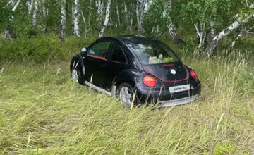 Volkswagen Beetle 1999 года за 3 000 000 тг. в Павлодарская область