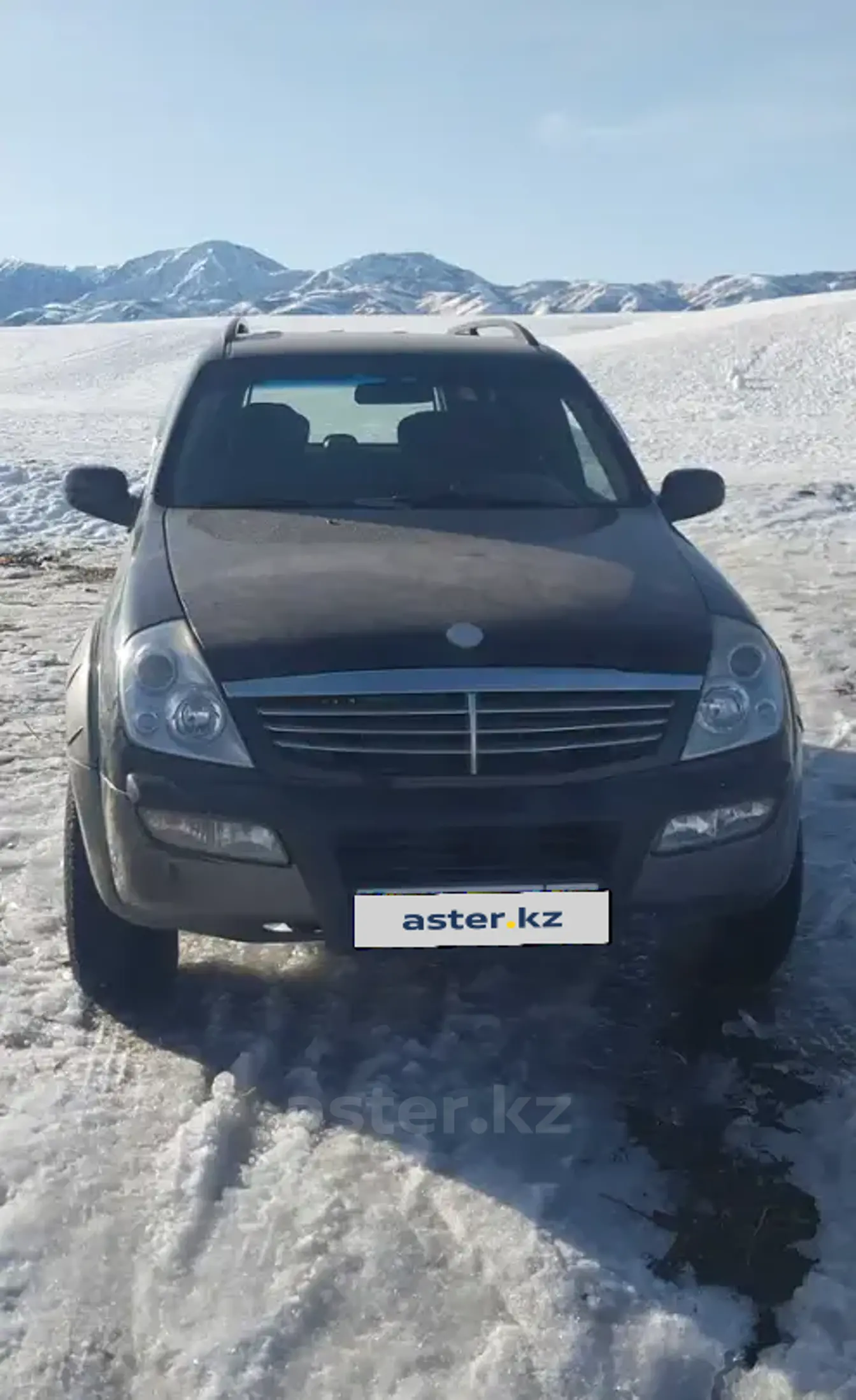 SsangYong Rexton 2001 года за 3 200 000 тг. в Алматинская область фото 1