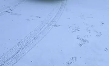 Volkswagen Vento 1993 года за 1 500 000 тг. в Кокшетау фото 3