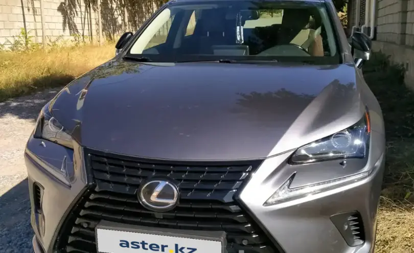 Lexus NX 2020 года за 20 000 000 тг. в Шымкент