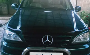 Mercedes-Benz M-Класс 2001 года за 6 000 000 тг. в Алматинская область фото 2