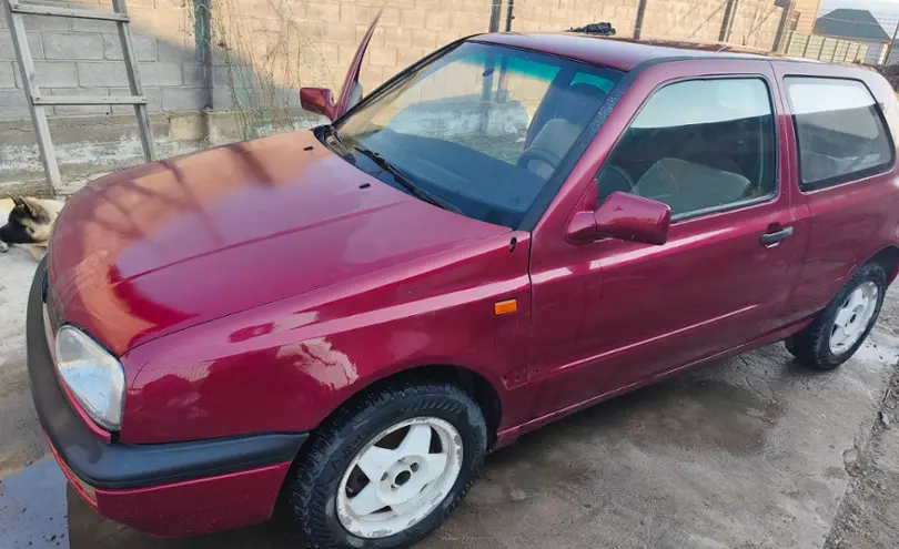 Volkswagen Golf 1992 года за 1 200 000 тг. в Алматинская область