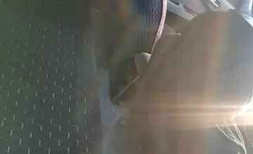 Nissan Cefiro 1996 года за 2 150 000 тг. в Жетысуская область фото 4