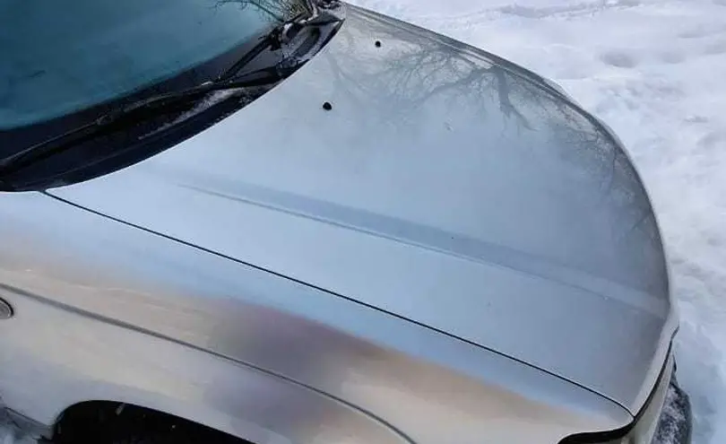 Subaru Forester 2003 года за 4 300 000 тг. в Усть-Каменогорск фото 3