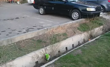 Audi 100 1991 года за 1 250 000 тг. в Талдыкорган фото 3