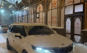 Kia Carnival 2021 года за 17 000 000 тг. в Караганда фото 4