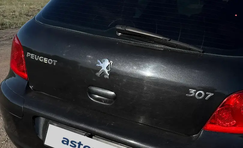 Peugeot 307 2006 года за 2 400 000 тг. в Караганда фото 4