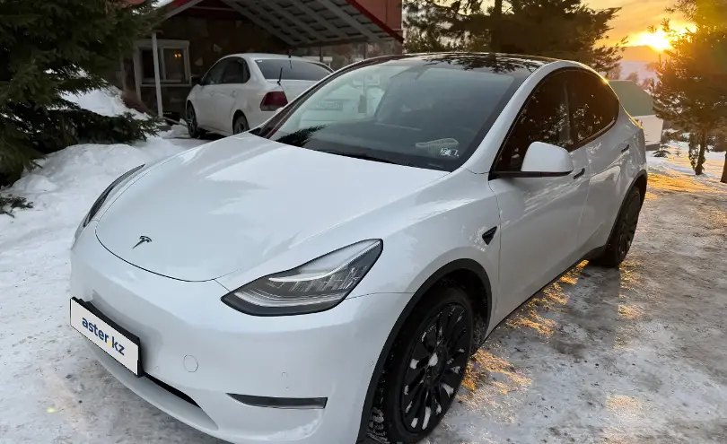 Tesla Model Y 2021 года за 11 000 000 тг. в Алматы