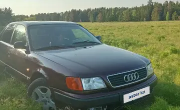 Audi 100 1994 года за 2 300 000 тг. в Акмолинская область фото 1